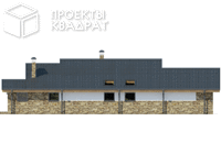 Проект w-161-1p Вид сзади